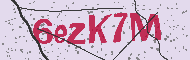 Güvenlik Kodu