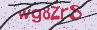 Güvenlik Kodu