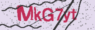 Güvenlik Kodu